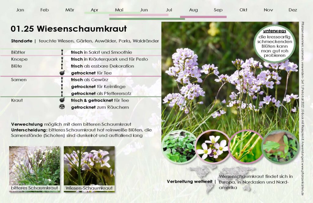 1-25 Wiesenschaumkraut D_Seite_1