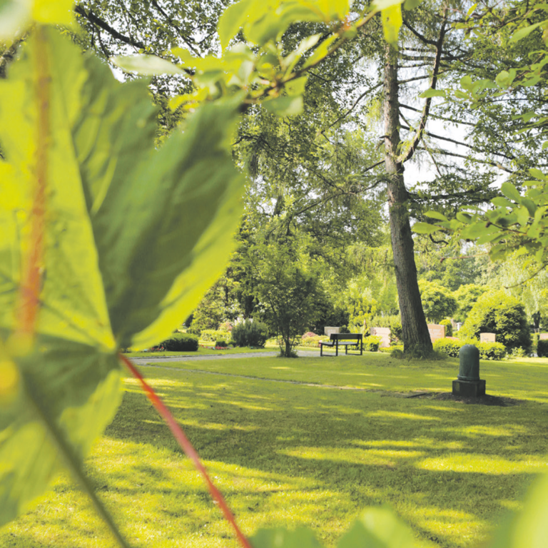 Read more about the article „Wie kommt der Honig auf den Friedhof?“