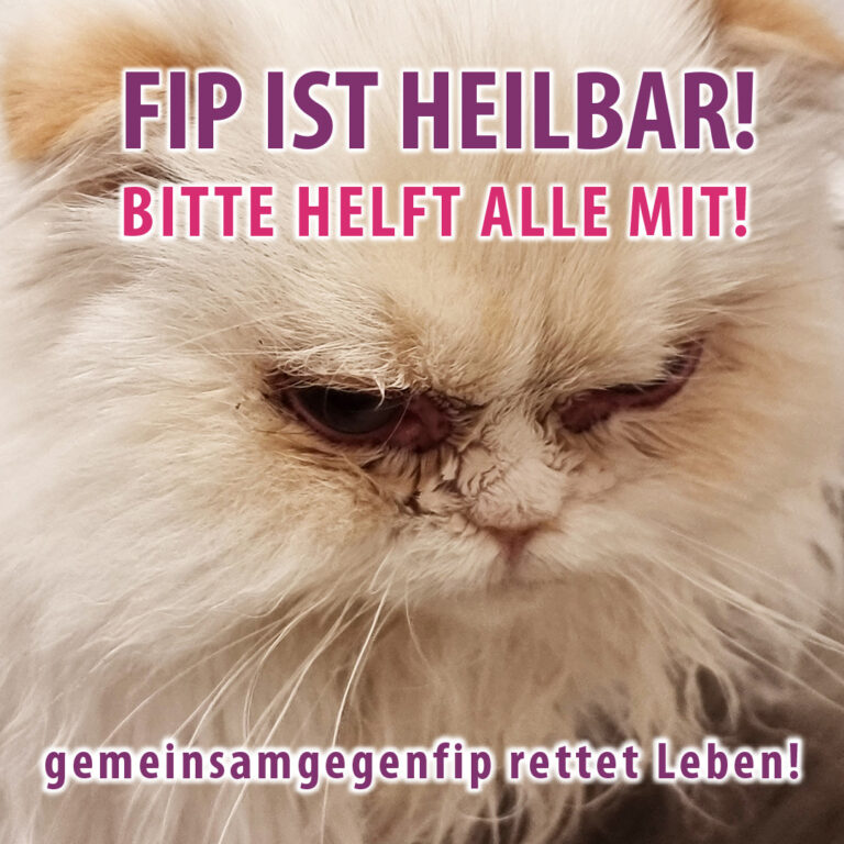 Read more about the article FIP IST HEILBAR! – BITTE HELFT ALLE MIT!